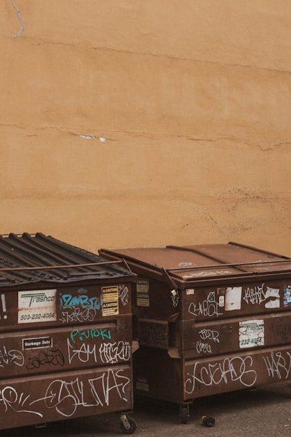 Why Choose Dumping Junk?